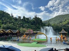 -西双版纳原始森林公园