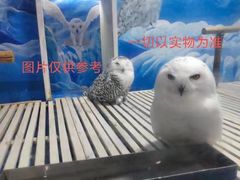 -成都浩海立方海洋公园