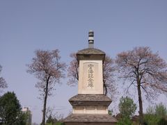 -西安青龙寺遗址景区