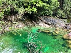 -黄山翡翠谷景区
