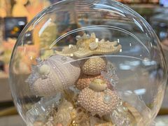 -郑在DIY·潮玩银饰绘画手作(中央大道旗舰店)