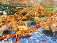 -高佳庄·海鲜酒楼(东港店)