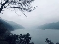 -羚羊峡古栈道森林公园