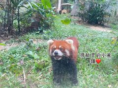 -深圳野生动物园
