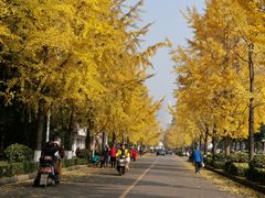 -四川大学(望江校区)