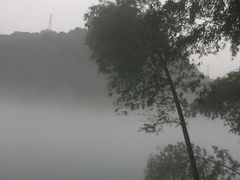 -维尼亚KTV(郴州店)