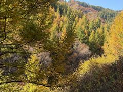 -苏木山森林公园