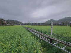 -红山村