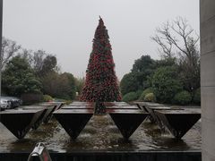 -上海崇明金茂凯悦酒店