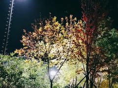 -回龙观体育文化公园