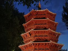 -北京世界公园