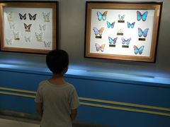 -上海昆虫博物馆