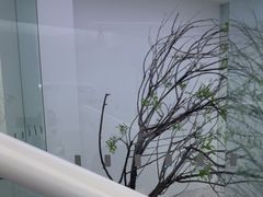 -极简口腔(总院)