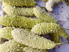 -南坛综合农贸市场