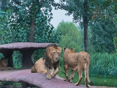 -北京野生动物园