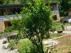 -柞水乾佑红门家菜