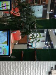 -MAGIC米几发型设计·羊毛卷