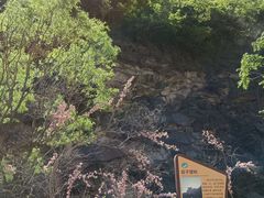 -黑龙潭风景区