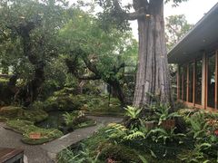 -Chom Cafe and Restaurant