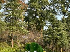-南山植物园
