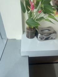 -BEAUTY HAIR GANO