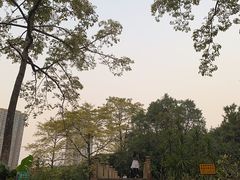 -晓港公园