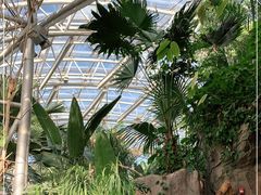 -北京植物园-展览温室