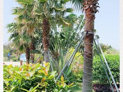 -那琴半岛地质海洋公园