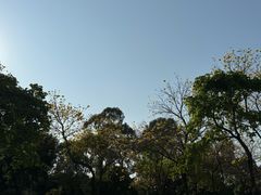-惠和石文化园