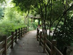-龙头寺公园