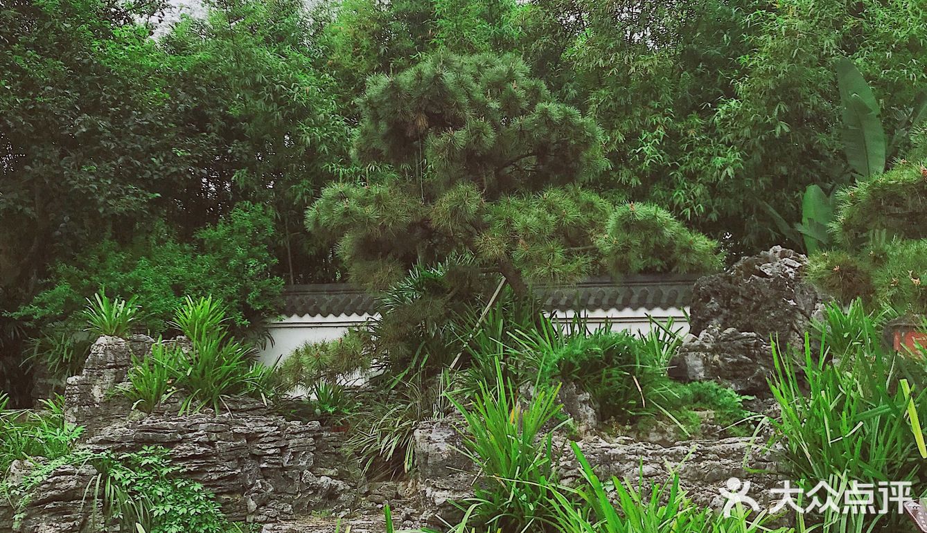 周末放假肯定要去逛公园呀