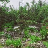 周末放假肯定要去逛公园呀