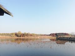 -溱湖国家湿地公园