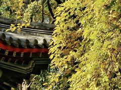 -中山公园(石岐街道)