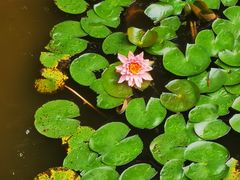 -深圳国际园林花卉博览园