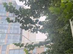 -觅唐MITONG(鸟巢店)