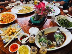 -顺德了能馆(虎门店)