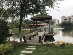 -沈阳于洪碧桂园凤凰酒店