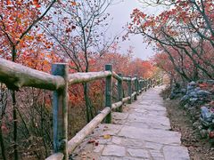 -周口店坡峰岭风景区