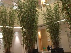 iphone_upload_pic-河源万绿湖美思威尔顿酒店