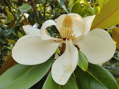 -上海滨江森林公园