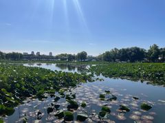 -长春市南湖公园