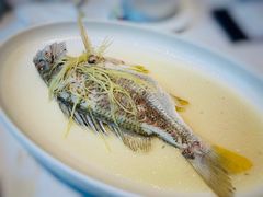 -花城苑广府菜(侨鑫店)