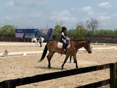 -松声马术俱乐部