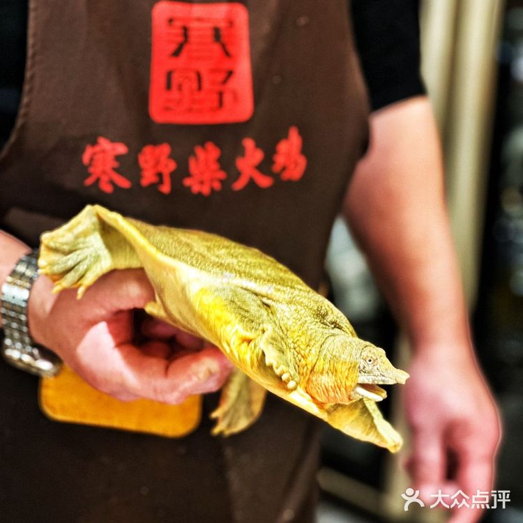 💥风靡长沙的地道柴火鸡，烟火气十足