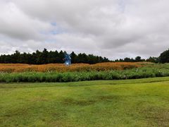 绿皮茄子-妈妈的小作坊(陈家镇店)