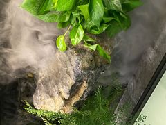 -辛香汇·现炒川菜(淮海路百盛店)