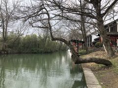 -西溪国家湿地公园