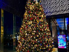 -北京希尔顿逸林酒店