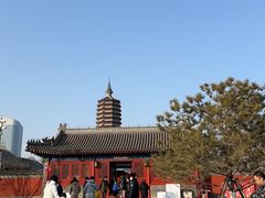 -西海子公园